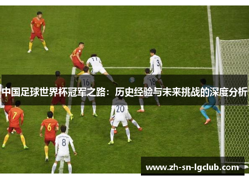 中国足球世界杯冠军之路：历史经验与未来挑战的深度分析