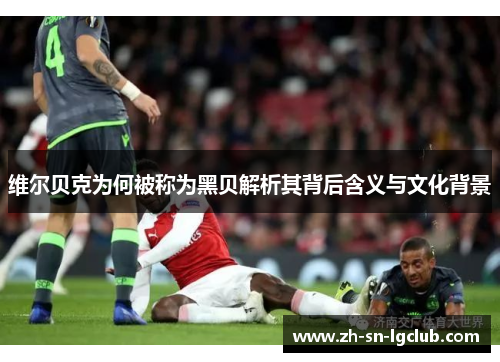 维尔贝克为何被称为黑贝解析其背后含义与文化背景