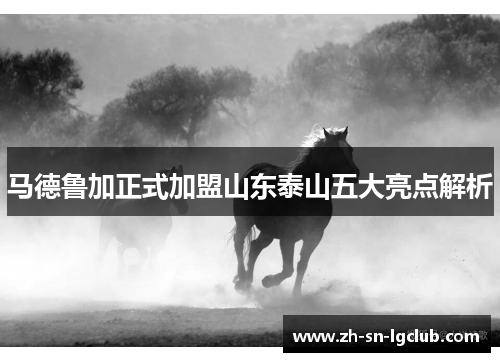 马德鲁加正式加盟山东泰山五大亮点解析
