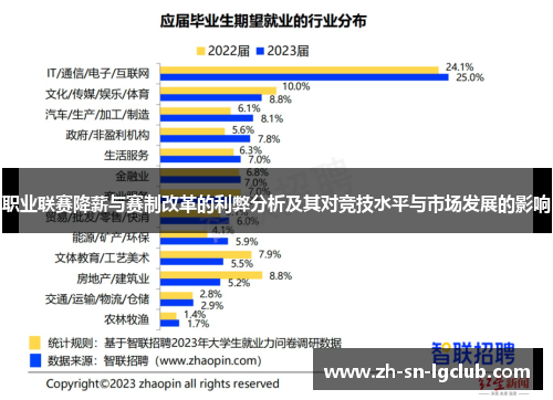 职业联赛降薪与赛制改革的利弊分析及其对竞技水平与市场发展的影响