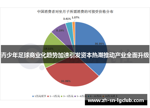 青少年足球商业化趋势加速引发资本热潮推动产业全面升级 青少年足球商业化趋势加速引发资本热潮推动产业全面升级
